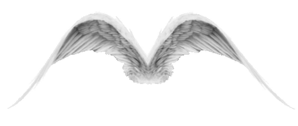 angel wings flapping